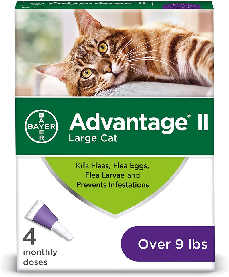 Advantage II Large Cat