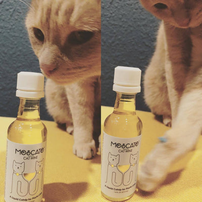 MosCATo Cat Wine Liquid Catnip Blend | 1.6 oz Small Bottle