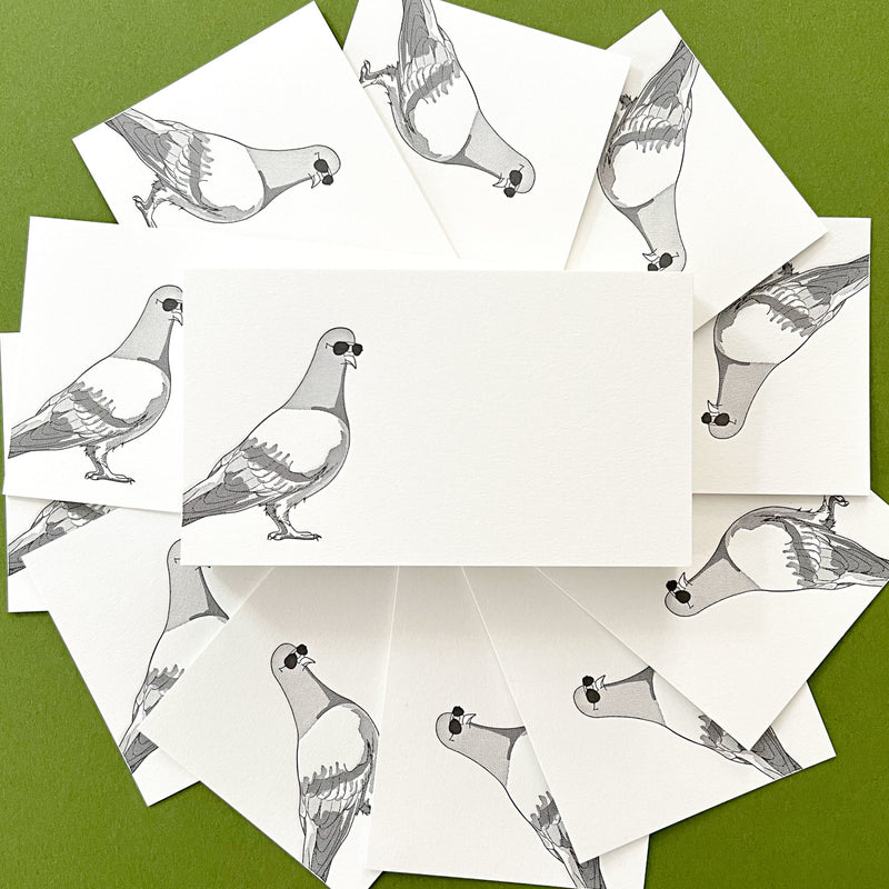 Quick Brown Fox Pigeon Mini Notecard Set