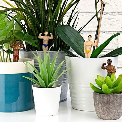 Mini Plant Pot Hunks Garden Decor | Tiny Sexy Men on Pointy Sticks to Decorate Your Potted Plants