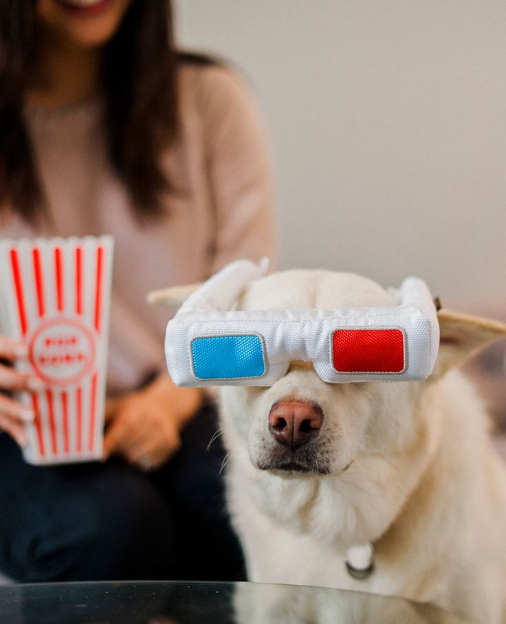 3-Dog Glasses Dog Toy